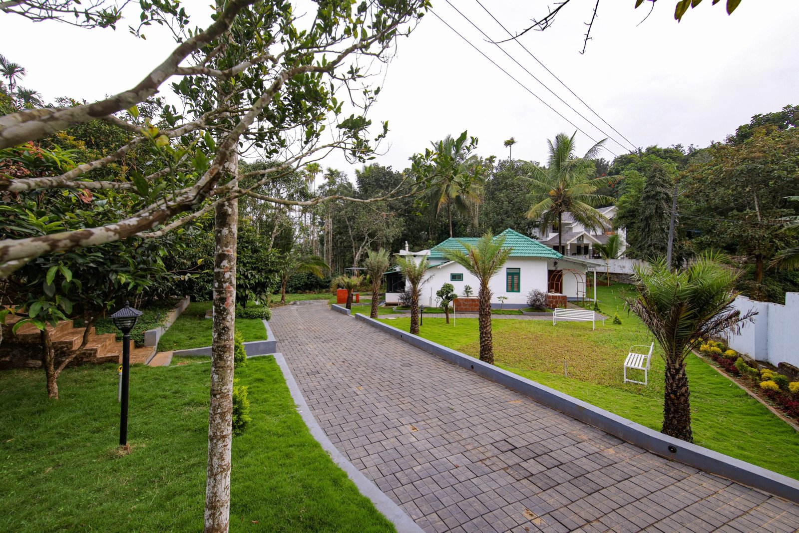 Family Homestay Wayanad -Budget Homestay Wayanad-Homestay wayanad Waterfall-Best Homestay -Economy Stay Wayanad-Nature Resort-Explore Wayanad
